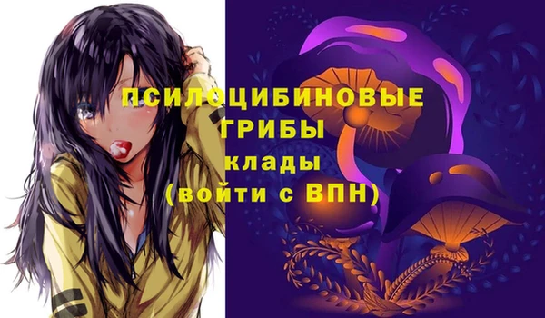 соль ск Арсеньев