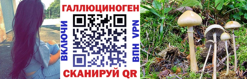 Галлюциногенные грибы мухоморы  Ковылкино 